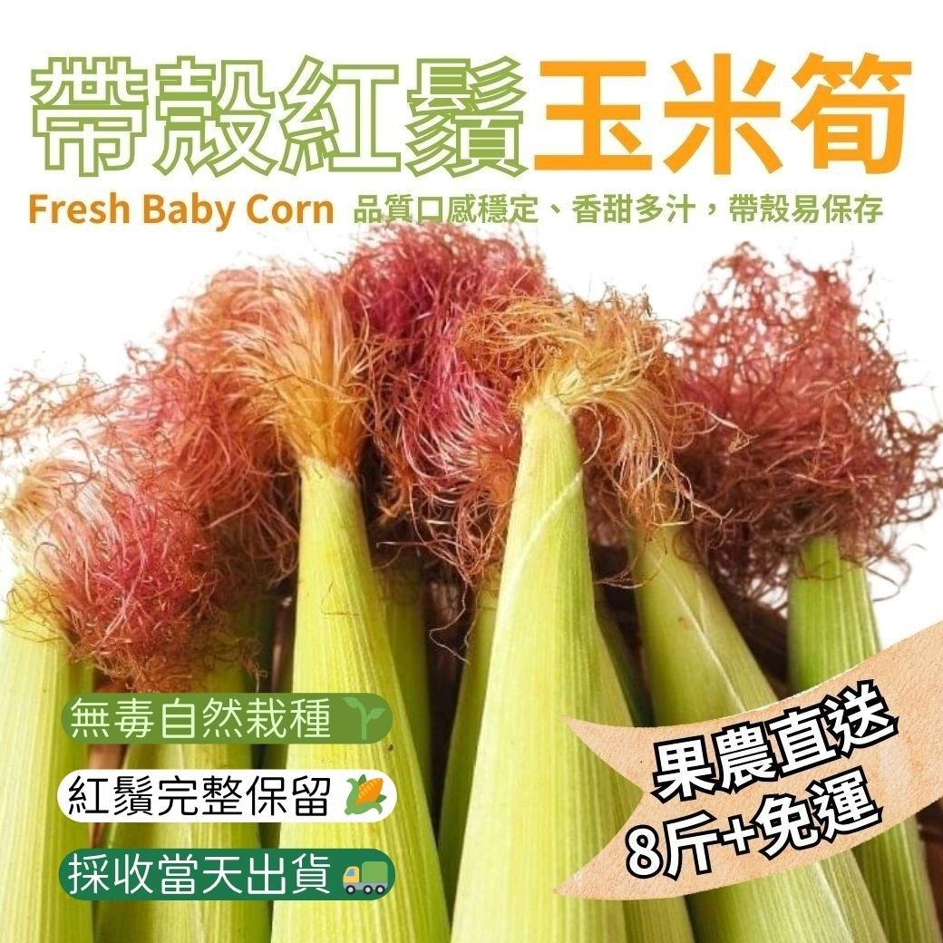 無毒自然栽培 | 紅鬚玉米筍8斤